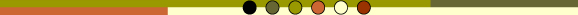 horizontal circles